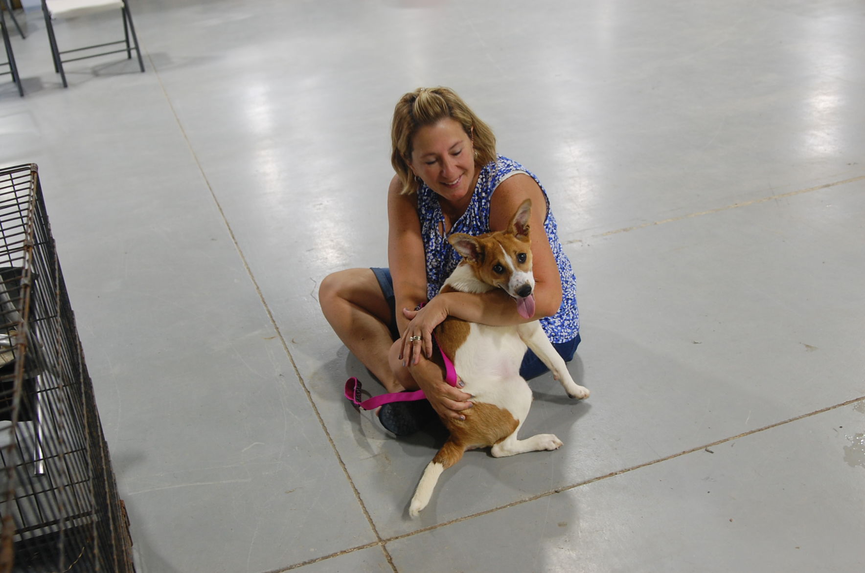 Piedmont animal rescue (28).JPG